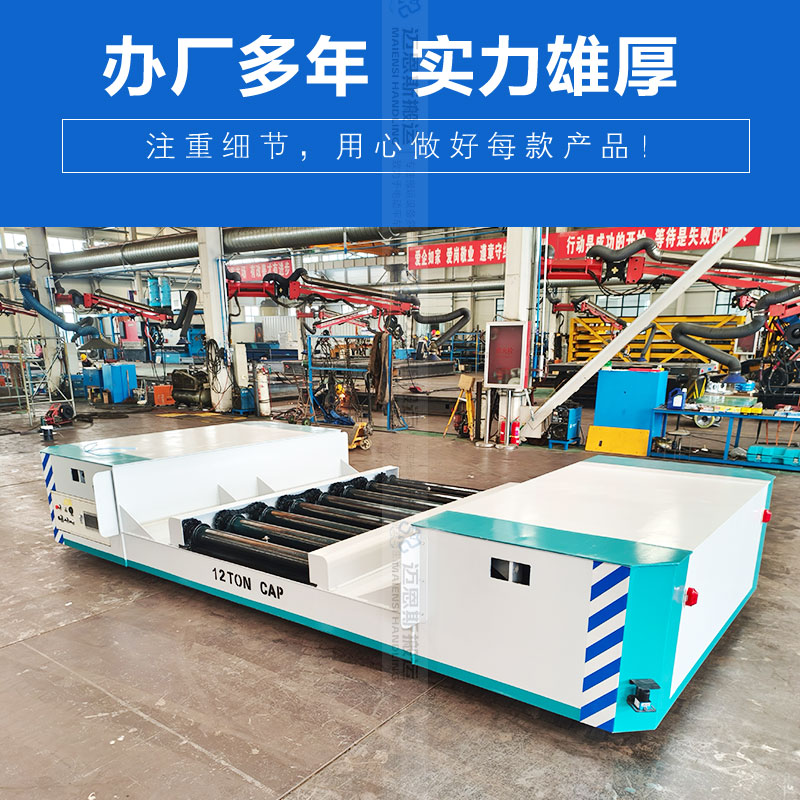 滾筒線(xiàn)全向移動(dòng)電動(dòng)平臺(tái)車(chē)