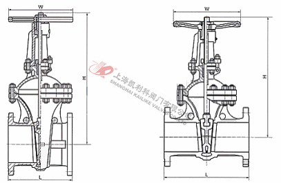 Z41H德標(biāo)閘閥